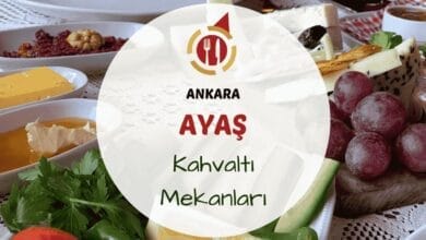 Ayaş'ta ağaçlar altında serpme kahvaltı tabağı ve çay bardakları