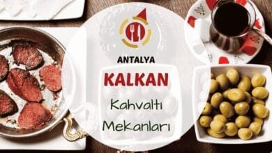 Kalkan'da deniz manzaralı terasda serpme kahvaltı tabağı ve çay servisi
