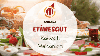 Etimesgut Bağlıca'da yeşillik içinde serpme kahvaltı sofrası kurulmuş bahçe mekanı