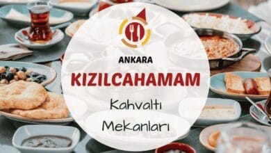 Kızılcahamam Soğuksu Milli Parkı yakınında çam ağaçları arasında kurulan kahvaltı sofrası