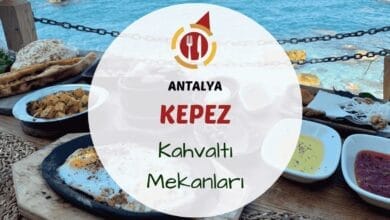 Kepez'te ağaçlar arasında kurulan serpme kahvaltı sofrası görünümü