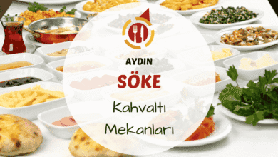 Söke Ağaçlı köyünde zeytinlikler arasında kurulan açık hava kahvaltı sofrası ve ova manzarası