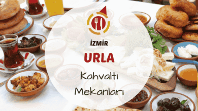Urla'da ağaçlar altında serpme kahvaltı sofrası ve taze köy ürünleri