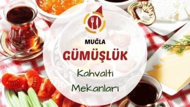 Gümüşlük'te deniz manzaralı bir terasda hazırlanmış serpme kahvaltı sofrası