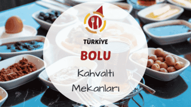Bolu'da ağaçlar altında kurulan zengin serpme kahvaltı sofrası görünümü