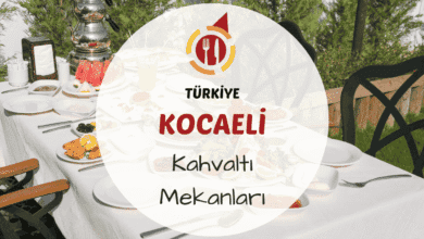Kocaeli'de ağaçlar altında kurulmuş serpme kahvaltı sofrası ve çay bardakları