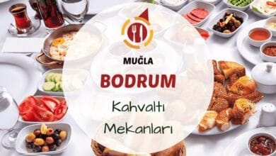 Bodrum'da zeytin ağaçları altında hazırlanmış taze serpme kahvaltı sofrası görünümü