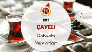 Çayeli'nde yeşillikler arasında serpme kahvaltı sofrası ve demli çay bardağı