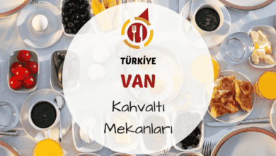 Van kahvaltı sofrası üzerinde otlu peynir reçel ve tandır ekmeği dizilimi