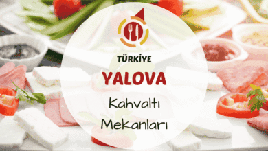 Yalova'da ağaçlar arasında hazırlanmış zengin bir serpme kahvaltı sofrası
