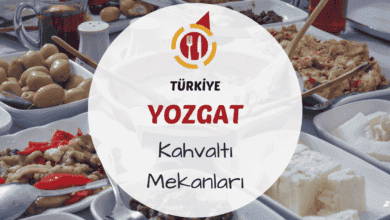 Yozgat'ta serpme kahvaltı sofrası ve çam ağaçları arasında sabah manzarası
