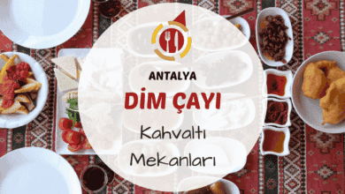 Dim Çayı kenarında kahvaltı masası ve yeşil doğa manzarası ile sabah sofrası