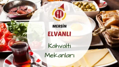 Elvanlı köyünde ağaçlar arasında serpme kahvaltı sofrası ve çay bardakları